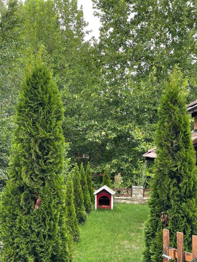 Villa Alpina Брезовица Екстер'єр фото